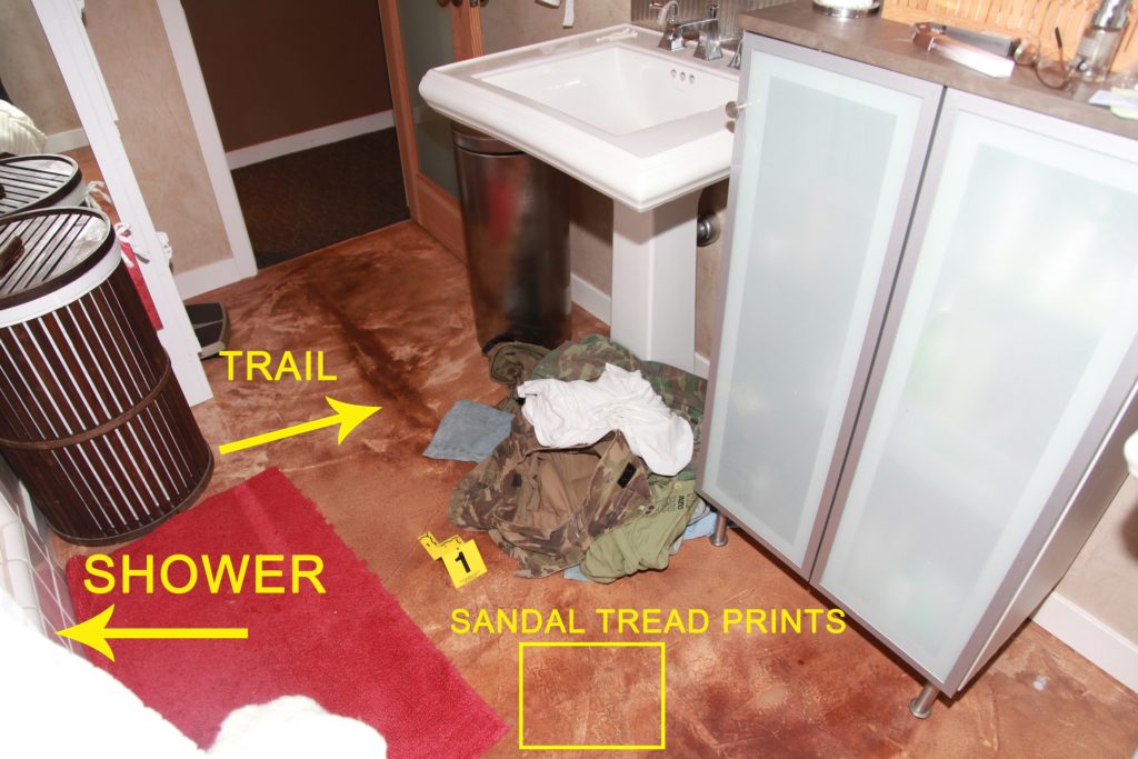 Bloodstains on the floor of the master bath?