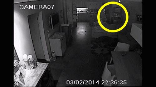 Animated GIF of the victim using her iPad